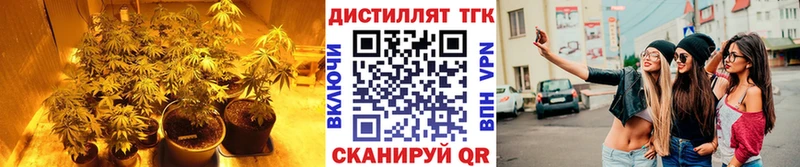 где купить наркотик  Назарово  Дистиллят ТГК концентрат 